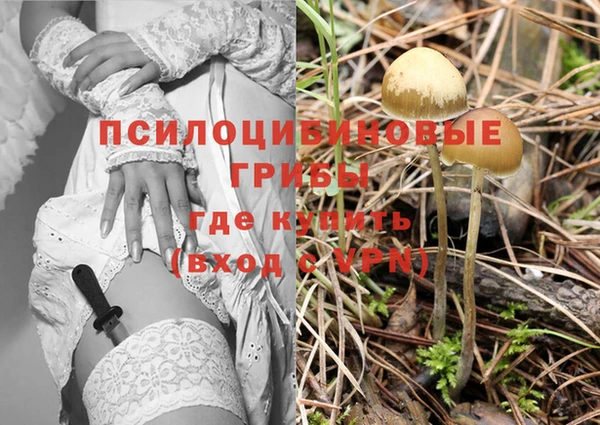 спайс Беломорск