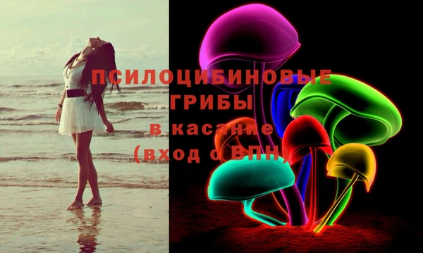 спайс Беломорск