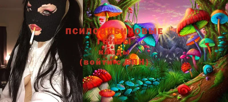 кракен ССЫЛКА  Дигора  Галлюциногенные грибы Magic Shrooms 