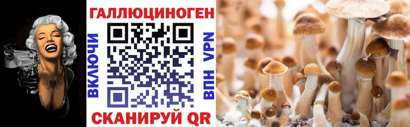 наркотики  Дигора  Псилоцибиновые грибы Psilocybe 