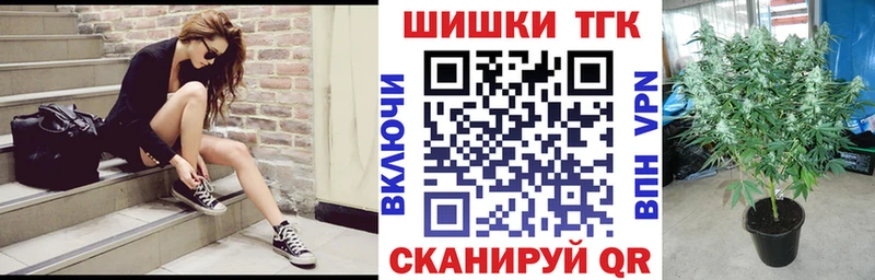 Бошки Шишки гибрид  где купить наркоту  Дигора 